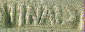 wpe48.jpg (2838 byte)